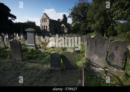 Abbaye gris, County Down. Abbaye gris est un prieuré cistercienne et dans le village d'Grayabbey. NT PAS LA TERRE. Banque D'Images