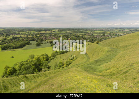 Hambledon Hill, Dorset. La colline est un hill fort préhistorique et réserve naturelle nationale, situé dans la vallée de Blackmore, près de Blandford Forum. Banque D'Images