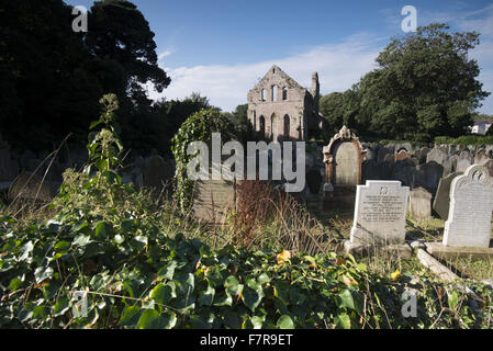 Abbaye gris, County Down. Abbaye gris est un prieuré cistercienne et dans le village d'Grayabbey. NT PAS LA TERRE. Banque D'Images