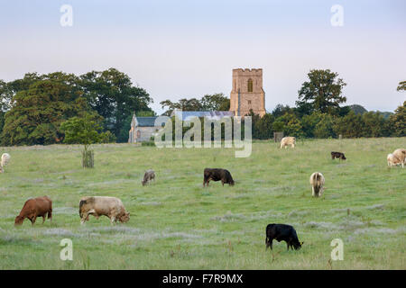 St Margaret's Church sur la succession à Felbrigg Hall, jardins et Estate, Norfolk. Banque D'Images