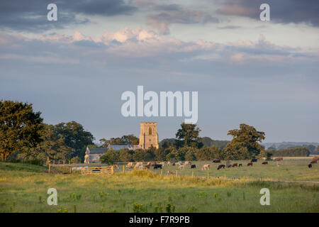 St Margaret's Church à Felbrigg Hall, jardins et Estate, Norfolk. Banque D'Images