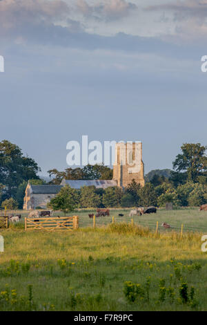 St Margaret's Church à Felbrigg Hall, jardins et Estate, Norfolk. Banque D'Images