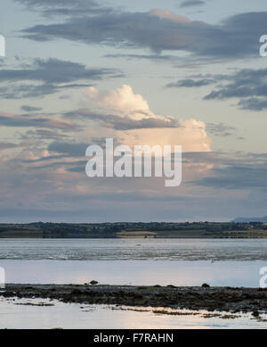 Vannes, County Down. NT PAS LA TERRE. Banque D'Images