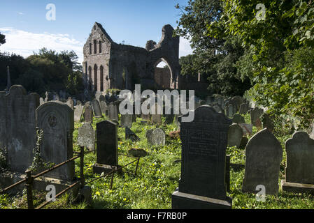 Abbaye gris, County Down. Abbaye gris est un prieuré cistercienne et dans le village d'Grayabbey. NT PAS LA TERRE. Banque D'Images