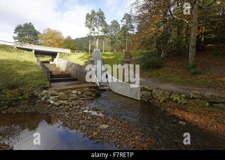 La vis d'Archimède à turbine hydro-électrique Cragside, dans le Northumberland. L'éolienne utilise l'eau du lac Tumbleton pour créer de l'électricité pour la maison à Cragside. Banque D'Images