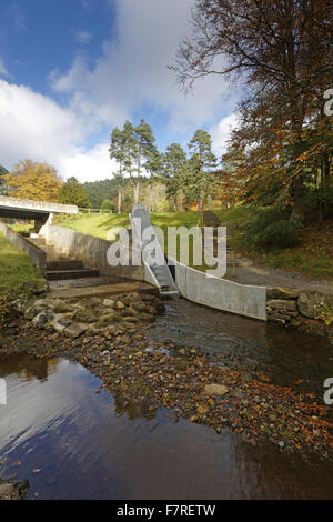 La vis d'Archimède à turbine hydro-électrique Cragside, dans le Northumberland. L'éolienne utilise l'eau du lac Tumbleton pour créer de l'électricité pour la maison à Cragside. Banque D'Images