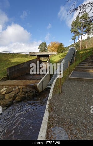 La vis d'Archimède à turbine hydro-électrique Cragside, dans le Northumberland. L'éolienne utilise l'eau du lac Tumbleton pour créer de l'électricité pour la maison à Cragside. Banque D'Images