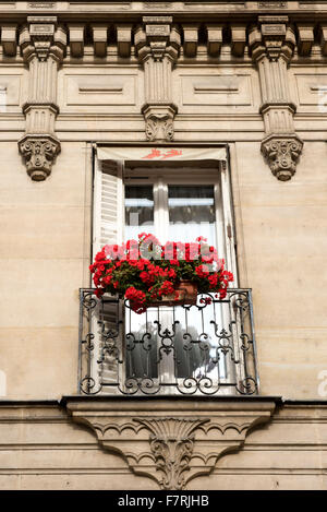 Une fenêtre de dialogue de géraniums rouges sur un bâtiment à Paris, France Banque D'Images