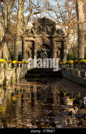 Chrysanthèmes autour de la Fontaine Médicis dans le Jardin du Luxembourg à Paris, France Banque D'Images