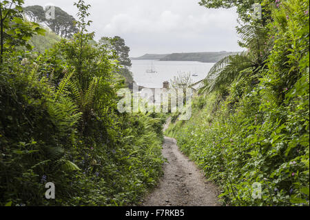 La voie vers le bas pour Durgan village avec rivière Helford Glendurgan Garden, au-delà à Cornwall. Glendurgan a été décrit par ses créateurs, les Quakers Alfred et Sarah Fox, comme une "petite paix [sic] du ciel sur la terre'. Banque D'Images