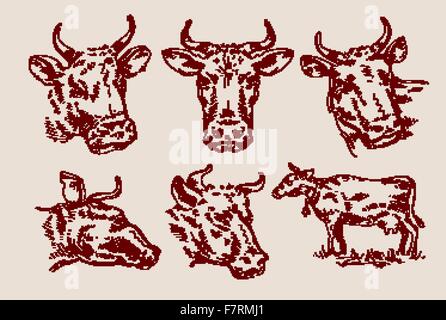 Jeu de croquis dessinés à la main, vache et taureau. vector illustration Illustration de Vecteur