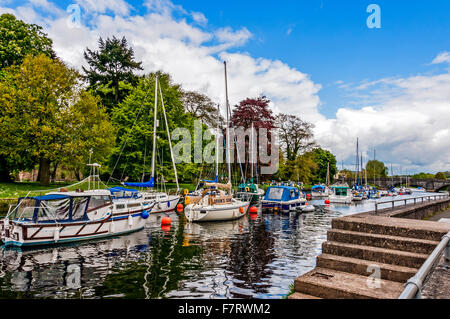 Les bateaux de plaisance amarrés sur la rivière Dart entre une rangée d'arbres colorés sur une banque et à Totnes Bridge en arrière-plan Banque D'Images