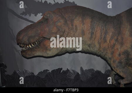Vue latérale d'une sculpture de dinosaure Tyrannosaurus Rex Banque D'Images
