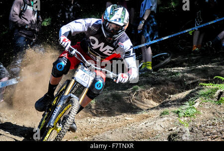 Course de vtt de descente de la concurrence au Royaume-Uni, pays de Galles, Grande-Bretagne Banque D'Images