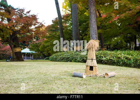 Couleurs d'automne,Parc,Suginami-Ku Otaguro, Tokyo, Japon Banque D'Images