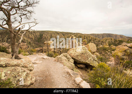 Monument national Chiricahua dans le sud de l'Arizona Banque D'Images