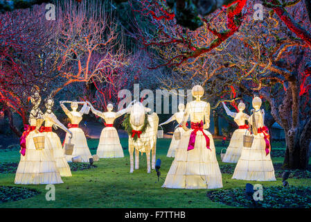 8 Une femme de la traite, 12 jours de Noël, les Jardins Butchart, Brentwood Bay, île de Vancouver, Colombie-Britannique, Canada Banque D'Images