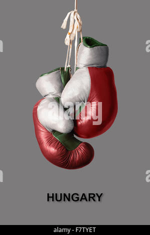 Vieux Gants de boxe dans la couleur de la Hongrie Banque D'Images