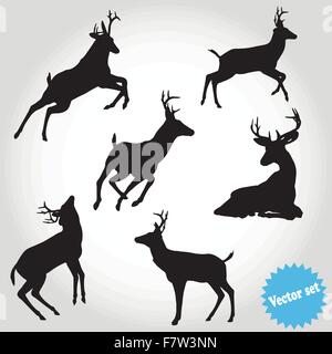 Vector set silhouette cerf sur fond blanc Illustration de Vecteur