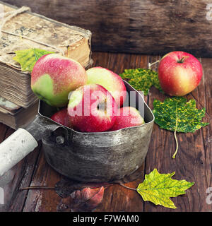 Les pommes d'automne en vieille casserole élégante au milieu des seaux de feuilles tombées Banque D'Images