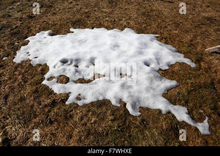 Au printemps. Dernière neige sur terrain. Banque D'Images