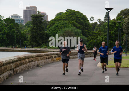 Des gens (des hommes d'âge moyen) qui traversent les jardins botaniques royaux à côté du port de Sydney en Australie Banque D'Images