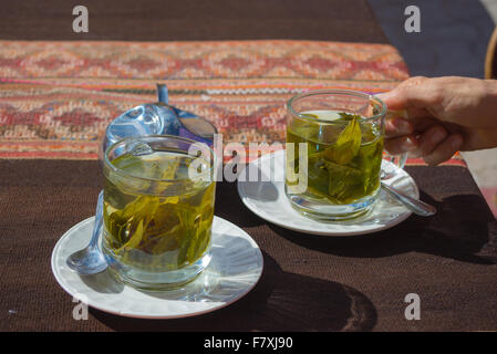 Tasses de Thé avec des feuilles de coca infusion "mangé" de Coca, boisson typique de la population locale en laissant à haute altitude sur la cordillère des Andes Banque D'Images