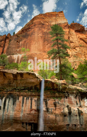 Emerald Pools Cascades. Zion National Park, Utah Banque D'Images