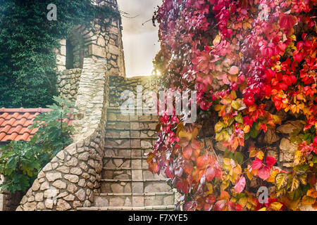 Vigne vierge sur les murs en pierre, rouge et orange feuilles en automne Banque D'Images