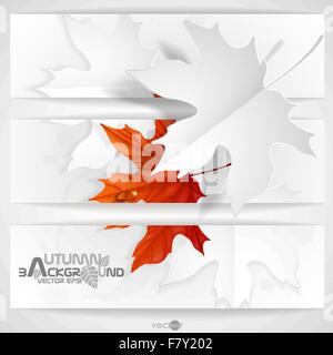 Les feuilles d'automne Background Illustration de Vecteur