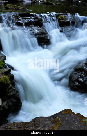 Une cascade sur la rivière East Lyn, près de Watersmeet au Parc National d'Exmoor. Banque D'Images