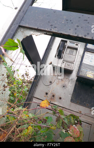 BT Téléphone public fort avec le verre brisé et envahis par les ronces en milieu rural Herefordshire UK Banque D'Images