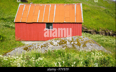 Champ coloré en Vindstad grange à la tête d'Reinfjord - le début de la piste vers la plage Bunes îles Lofoten Banque D'Images