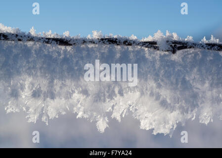 Givre sur une clôture en fil barbelé, Wallowa Valley, Oregon. Banque D'Images