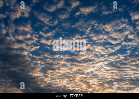 Gros nuages laineux (altocumulus) dans ciel du soir, Bavière, Allemagne Banque D'Images