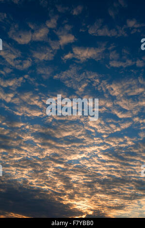 Gros nuages laineux (altocumulus) dans ciel du soir, Bavière, Allemagne Banque D'Images