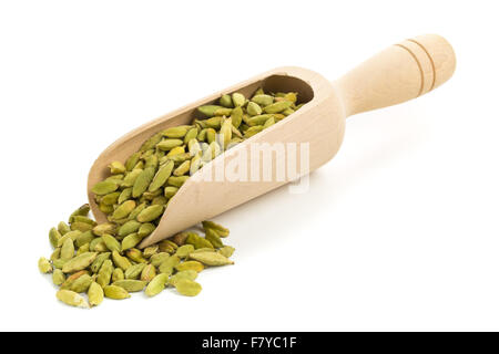 Les gousses de cardamome dans scoop en bois sur fond blanc Banque D'Images