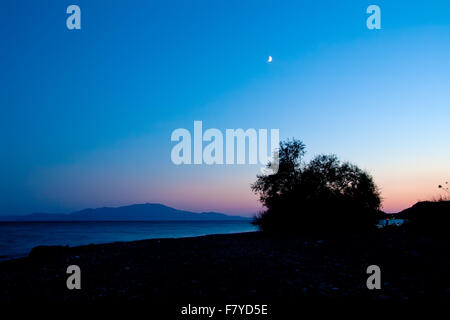 Un buisson à la recherche comme un lapin vers l'île de Lesbos Sous La Lune au crépuscule astronomique Banque D'Images