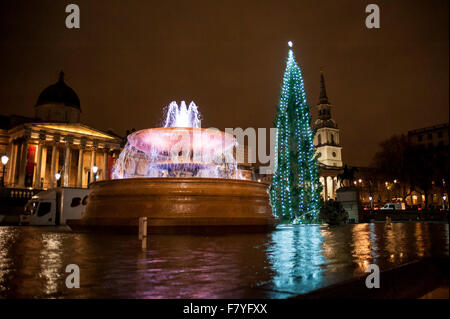 Londres, Royaume-Uni. 3 décembre 2015. Le nouvel arbre de Noël éclairé à Trafalgar Square. L'épinette de Norvège est versé annuellement par la Ville d'Oslo pour la population de Londres chaque année en signe de gratitude pour le soutien britannique pendant la Seconde Guerre mondiale. Crédit : Stephen Chung / Alamy Live News Banque D'Images