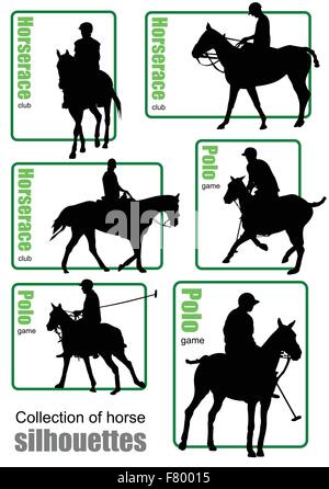 Grande collection de silhouettes de chevaux. Vector illustration Illustration de Vecteur