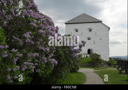 Kristiansten festning, Trondheim, Sør-Trøndelag, Norvège Banque D'Images
