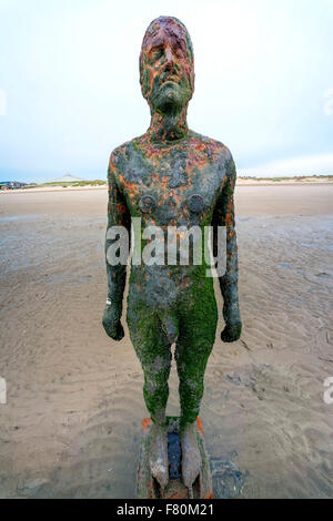 Un autre endroit Statues de Antony Gormley Crosby Beach Liverpool, Angleterre Royaume-Uni Banque D'Images