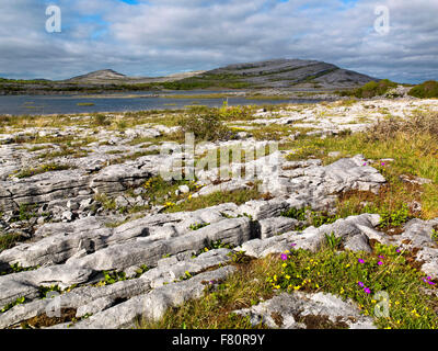 Gealain Lough, Mullagh plus, le Burren, comté de Clare, Irlande, la façon sauvage de l'Atlantique Banque D'Images