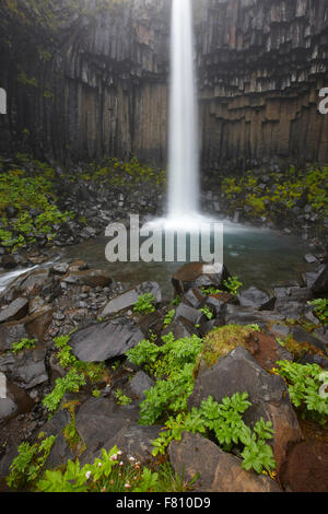 Cascade de Svartifoss et roches basaltiques en zone sud-est de l'Islande Banque D'Images