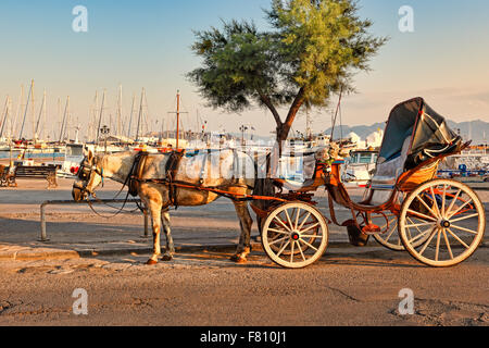Une calèche dans le port d'Aegina island, Grèce Banque D'Images