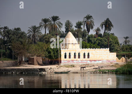 Coulisses le long des rives du Nil en moyenne Égypte. Banque D'Images