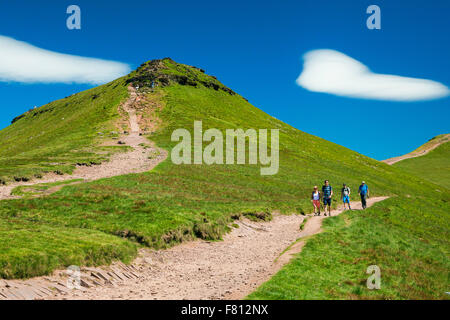 Du maïs, le Parc National des Brecon Beacons, Powys, Wales, Royaume-Uni Banque D'Images