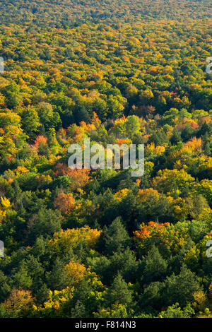 Vue sur la forêt du Lac des nuages dans la zone de visualisation, montagnes Porcupine Wilderness State Park, Michigan Banque D'Images