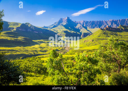 Vue panoramique sur le parc national du Drakensberg à Kwazulu Natal Banque D'Images