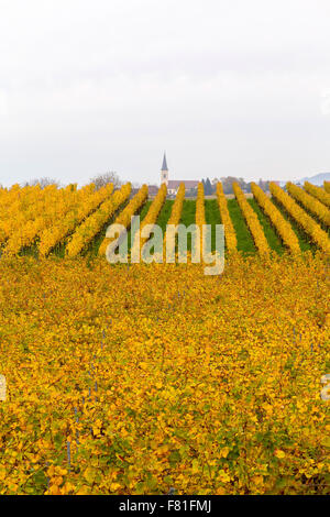 Vignoble et église de Ballrechten-Dottingen, Allemagne Banque D'Images